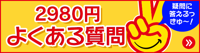 2980�~�̗V�ѕ� �悭���鎿��