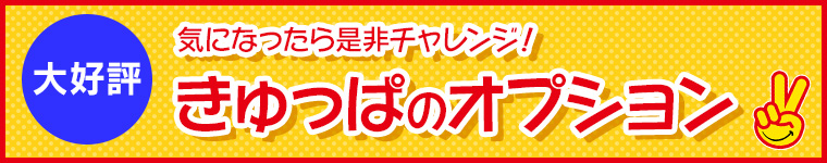 ������ς̃I�v�V����