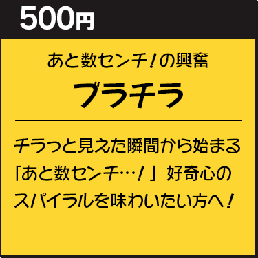 �u���`��